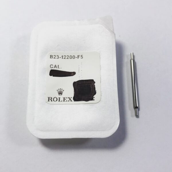 New Rolex Watches Spring Bars (19.8 mm) for 5512, 1019, 14060, 1655, 16550, 1675