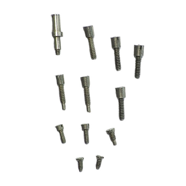 Jaeger-LeCoultre 476/2 set of 12 screws